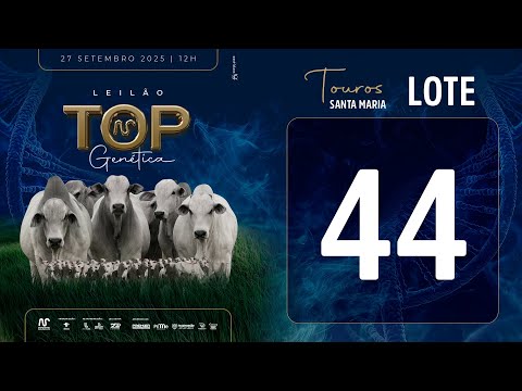 LOTE 44 FSM A2521