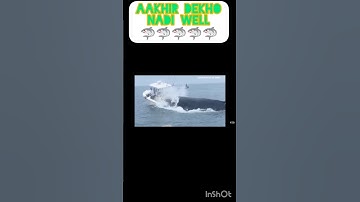 Whale capsizes boat fishing in Portsmouth Harbor off the New Hampshire coast