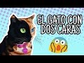 EL GATO CON 2 CARAS