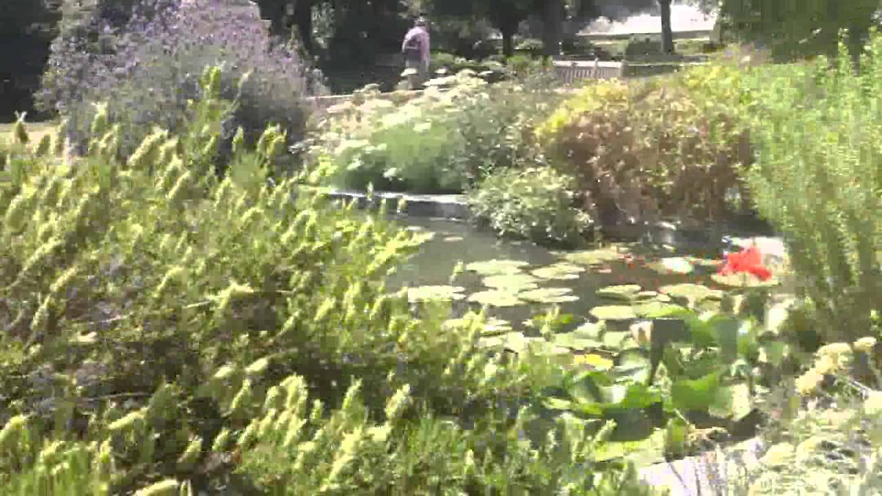 The Pond Rockery at Chelsea Physic Garden - YouTube