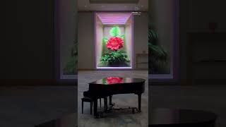 🌸 🎹Bloemblaadjesreflecties: Als bloemen piano spelen