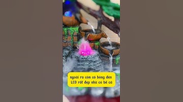 Máy tạo khói phun sương kèm bóng led đổi màu dùng cho bể cá, cây cảnh...