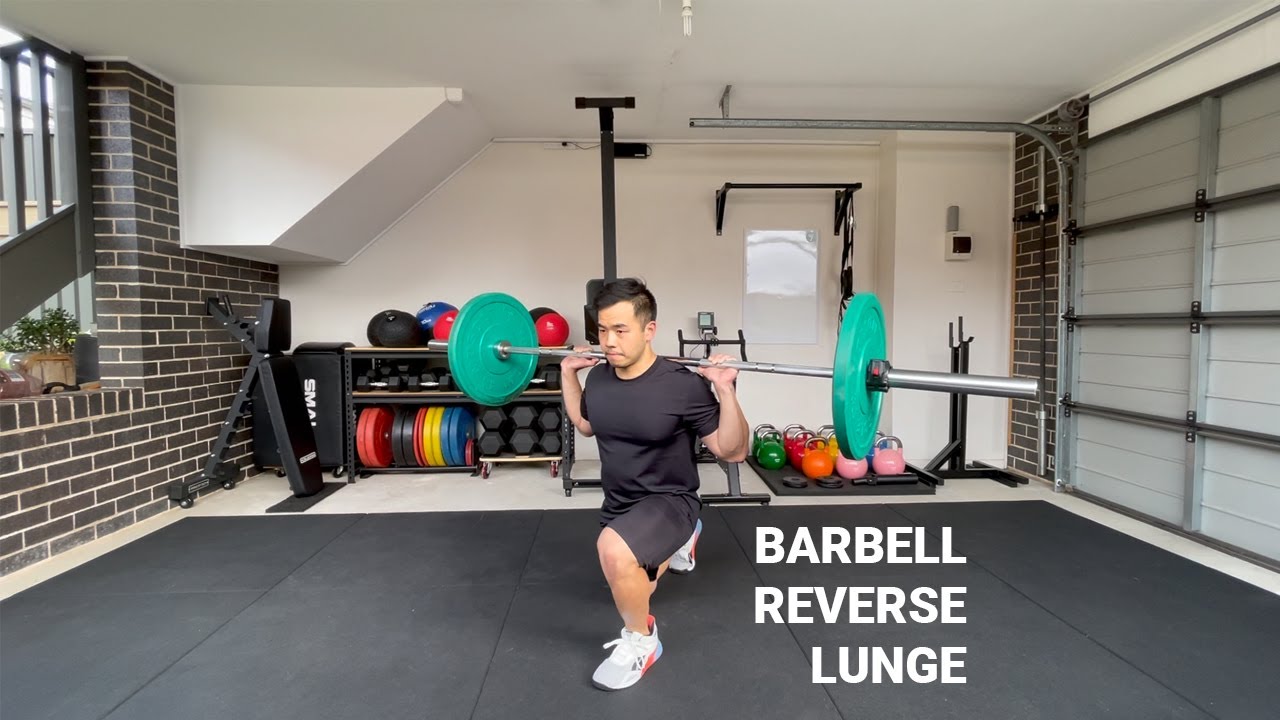 Barbell Reverse Lunge - Trainifier Exercise Library - YouTube