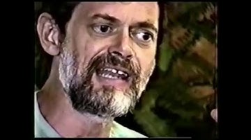 Virtual Reality within Culture - Terence McKenna