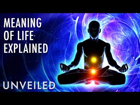 What Is The Meaning Of Existence | Unveiled