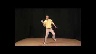 Flash Rotoscope