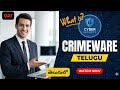 What is Crimeware in Cyber Security in Telugu 47