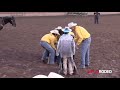 Mutton busting 85 at Pike's Peak or Bust Rodeo