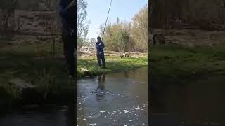 صيد سمك في الشلالاتFishing in the falls