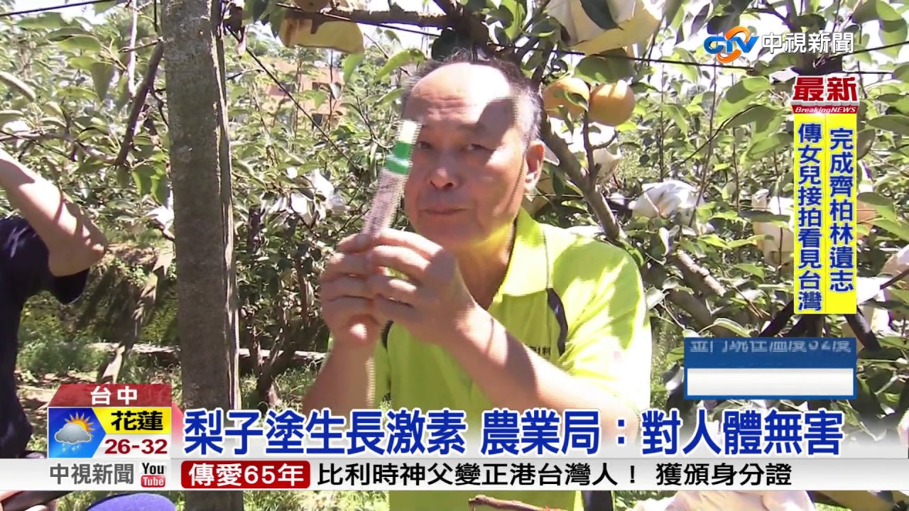 梨子塗生長激素 農業局：對人體無害│中視新聞 20170705