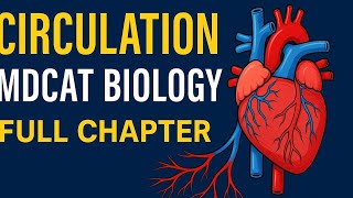 Mastering Circulation: Ace Your MDCAT with Artificial intelligence!!(Review from federal board book)
