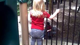 VID 20111029 00087