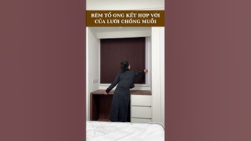 Rèm tổ ong kết hợp cửa lưới chống muỗi – Giải pháp 2 trong 1 cho ngôi nhà hiện đại