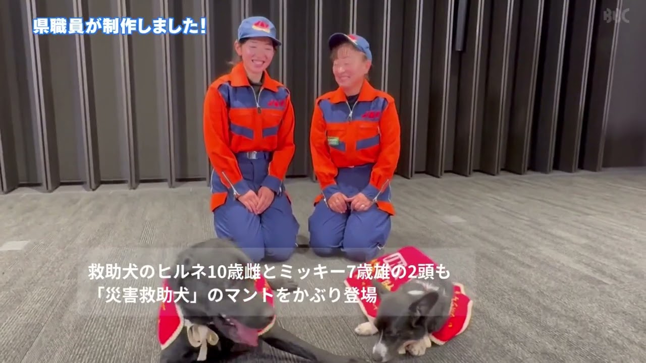 【中古】 災害救助犬がんばる/ポプラ社/舟越健之輔 About 