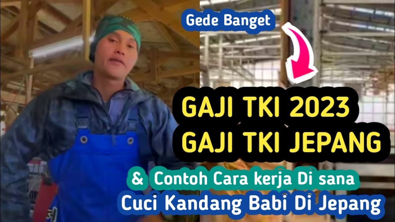 GAJI TKI 2023 GAJI TKI JEPANG YouTube