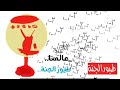 فاصل عالمنا طيور الجنة فاصل عالمنا طيور الجنة