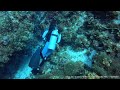 Couples Swept Away Scuba Diving 2025  |  Requested Footage 1