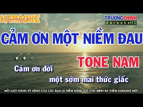 Karaoke Cảm Ơn Một Niềm Đau Tone Nam Beat Chuẩn Nhạc Sóng Dễ Hát