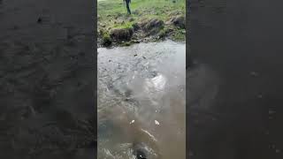 Такой водопад у нас в #новоеархангельское