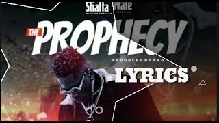 Shatta Wale - The Prophecy  lyrics