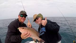 Fishing in the gulf of mexico off coast naples florida 2018 day one
two