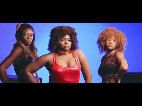 Njie Moni _The Struggle ft Young Holiday   (Official Video )