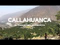 El  PARAÍSO de las CHIRIMOYAS | CALLAHUANCA