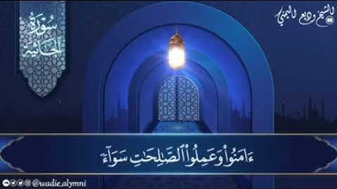 سورة الجاثية للشيخ وديع اليمني تلاوة جديدة