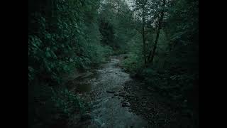 A River Flows Beside Highway 26 in Oregon - 1 Hour Ambient Scene for Sleep and Focus screenshot 4