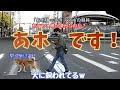 何で？そんなにスマホに夢中になるの？