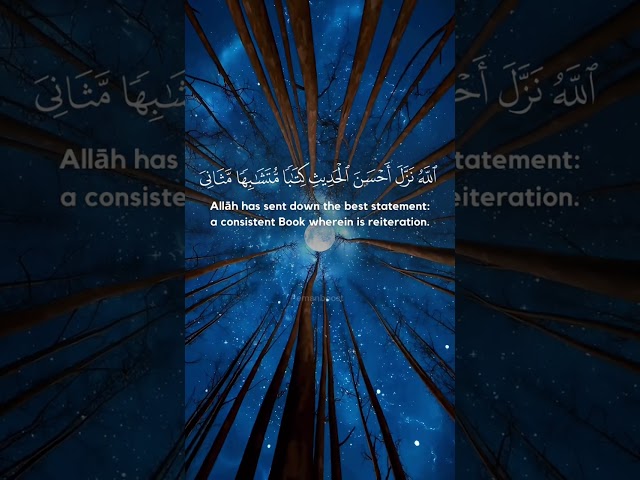 Surah Az-Zumar (39) verse 22 - 23  | Quran 39:22-23 recited by Muhammad Luhaidan | Soothing class=