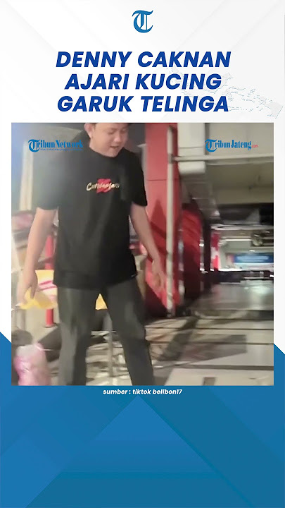 Momen Kocak Denny Caknan Ajari Kucing Garuk Telinga Pakai Tangan #shorts