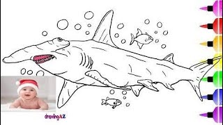 Hammerhead Shark Drawing and Coloring Pages for Kids - & How to Draw a BIG Dinosaur ✴   #part 172