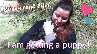 Roses real life ~ I am getting a puppy!