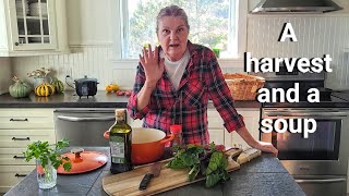 видео: Суп из мангольда, картофеля и риса. Ещё один сбор урожая. картинка: Суп из мангольда, картофеля и риса. Ещё один сбор урожая.