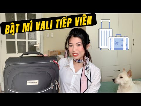 Video: Linh có tiếp viên hàng không?