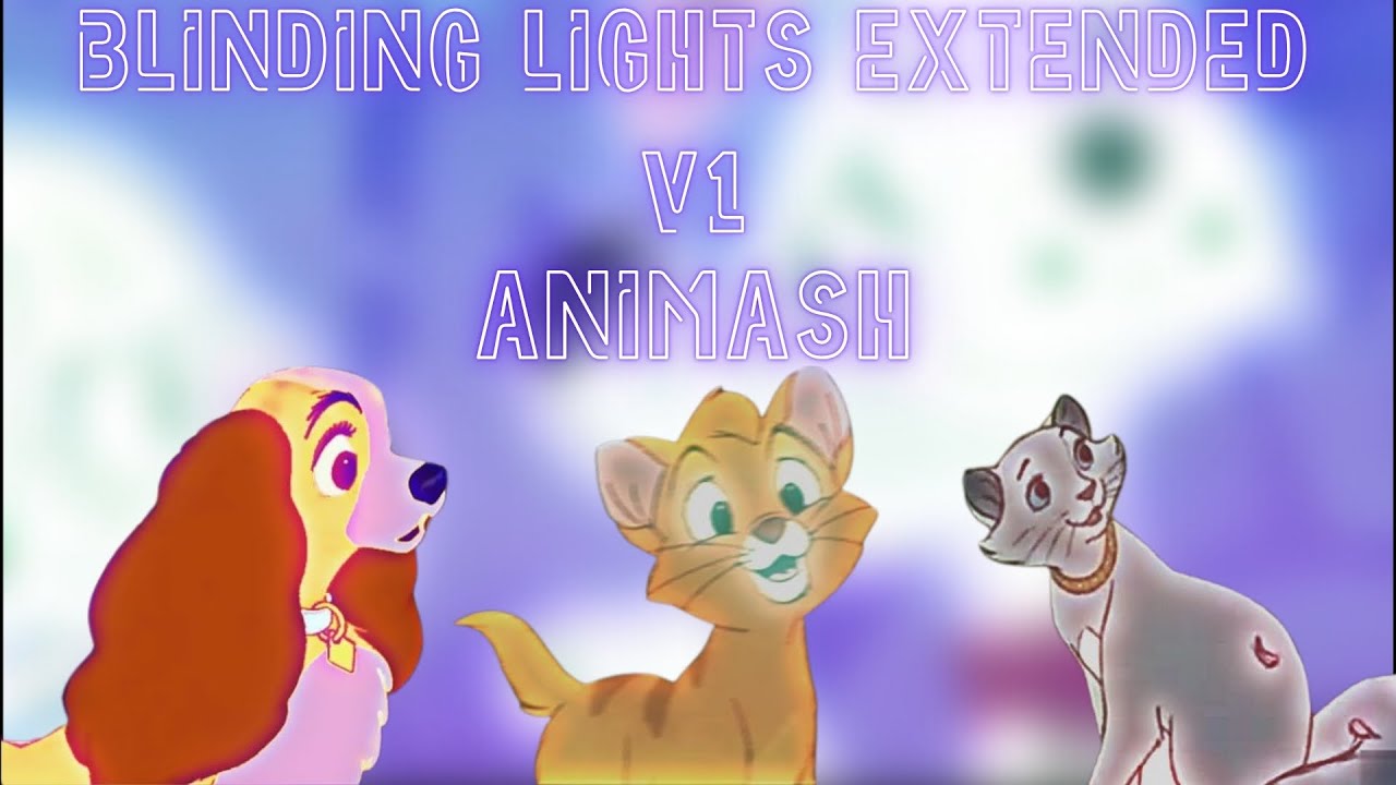Animash ~ Blinding Lights Extended V1