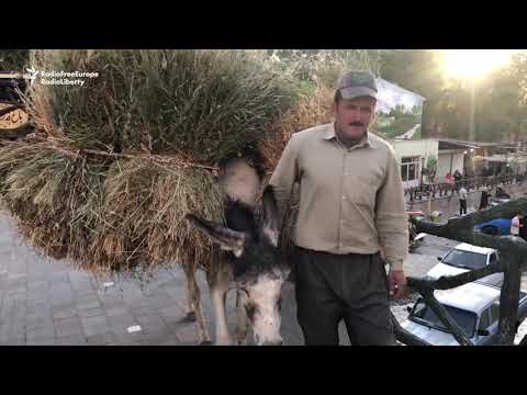 Video: Emine-Bair-Khosar urvo aprašymas ir nuotraukos-Krymas: Simferopolis