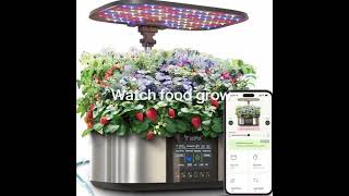 Best Indoor Hydroponic System | Letpot Indoor Garden Review