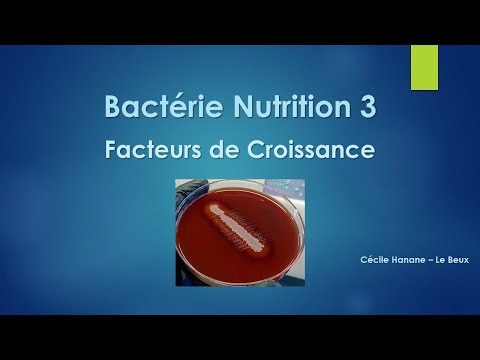 Vidéo: ❶ Facteurs Affectant La Croissance Et La Nutrition Des Ongles