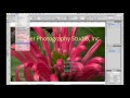 In Just Minutes: Lightroom Mobile to Adobe Comp to InDesign to Online Publishing