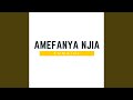 Amefanya Njia