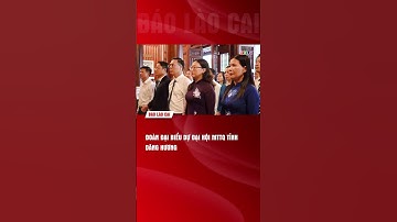 Đoàn đại biểu dự Đại hội MTTQ tỉnh dâng hương | THLC