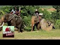 Таиланд. Слоны. Часть 2  🐾 Про животных и людей 🌏 Моя Планета