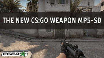 New CS: GO MP5-SD Gun Now Released! Silent But Deadly Update