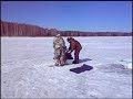 За таежным лещем (Долгобродское водохранилище, весна 2019).