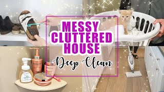 CLEAN WITH ME / Puracy NONTOXIC CLEANING / Bringing Home our New Kitty!
