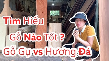 Tìm Hiểu Về Gỗ Gụ Và Gỗ Hương Đá Trong Thiết Kế Nội Thất | Xưởng Sản Xuất Đồ Gỗ Đẹp Trọng Minh