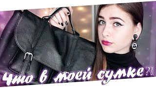 Что В Моей Сумке В Институт