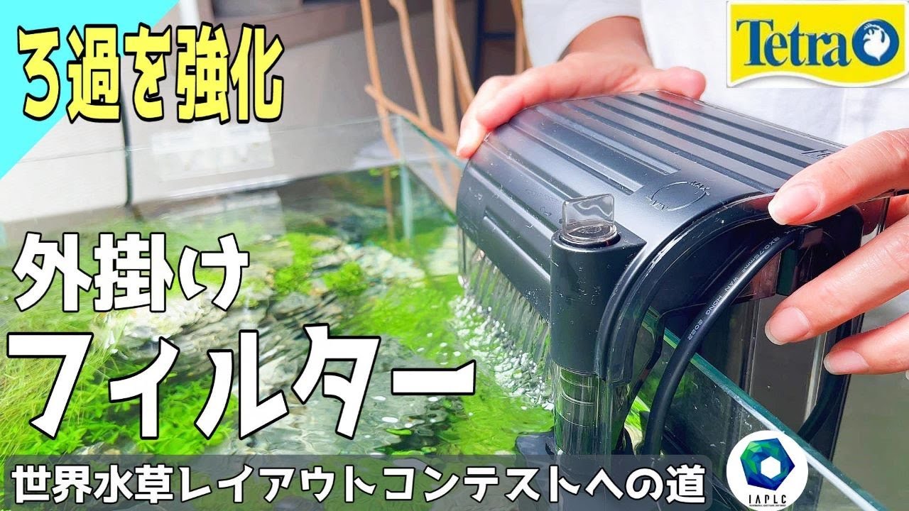 【アクアリウム】外掛けフィルターを設置して濾過を強化（世界水草レイアウトコンテストへの道！改良されたフィルターの性能は？）